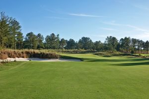 Tree Farm 14th Approach